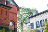 savannah