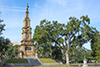 savannah