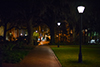 savannah