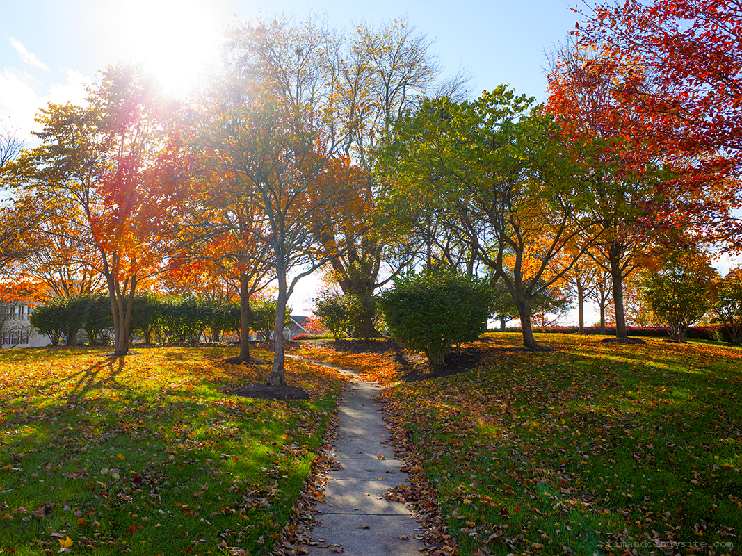 hyland hills