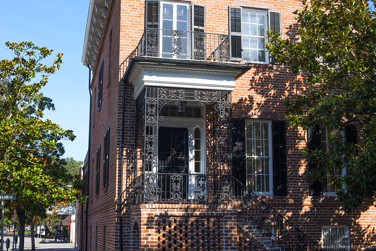 savannah