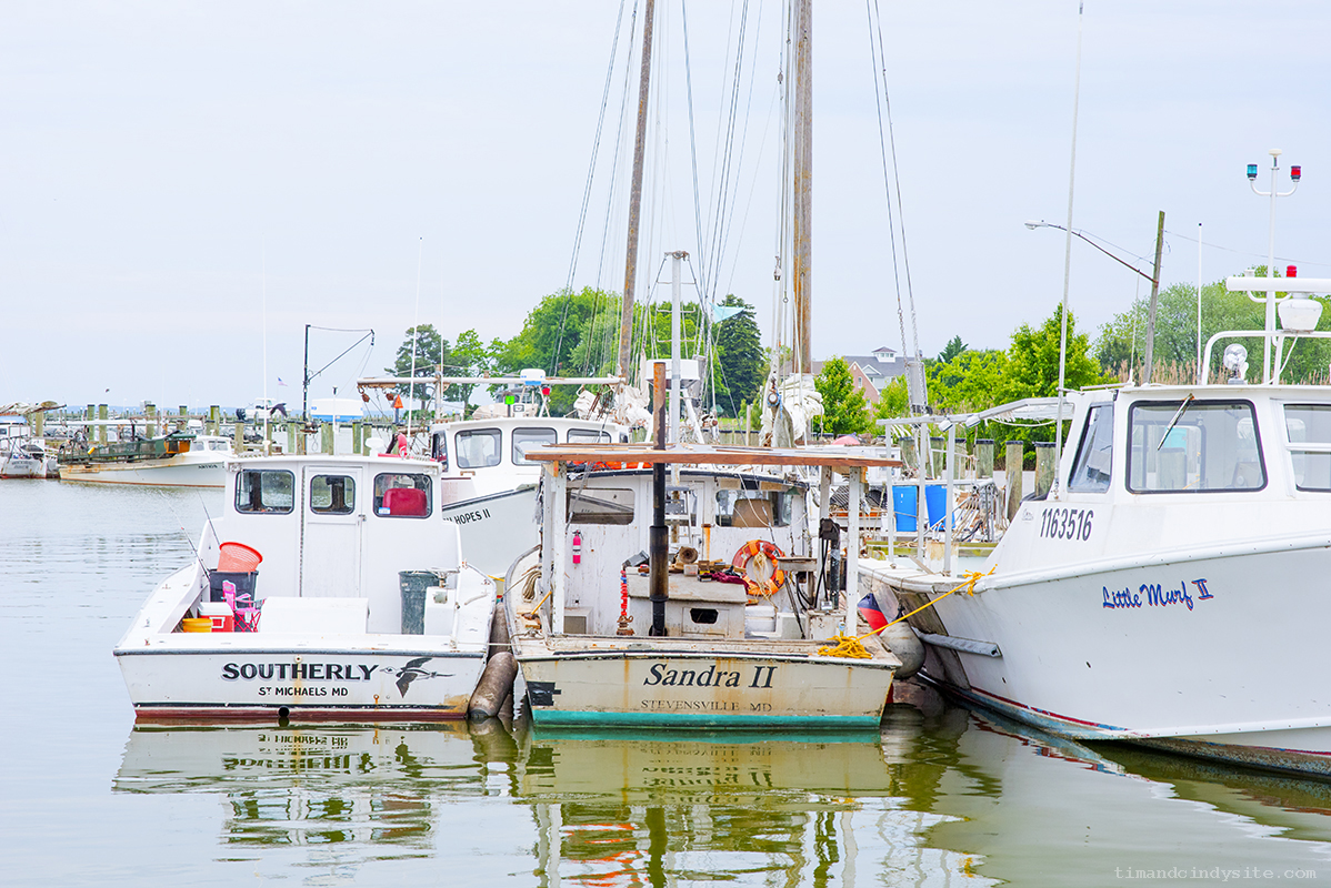 tilghman island