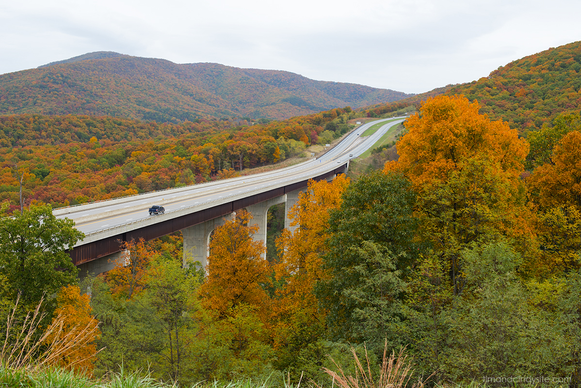 clifford hollow