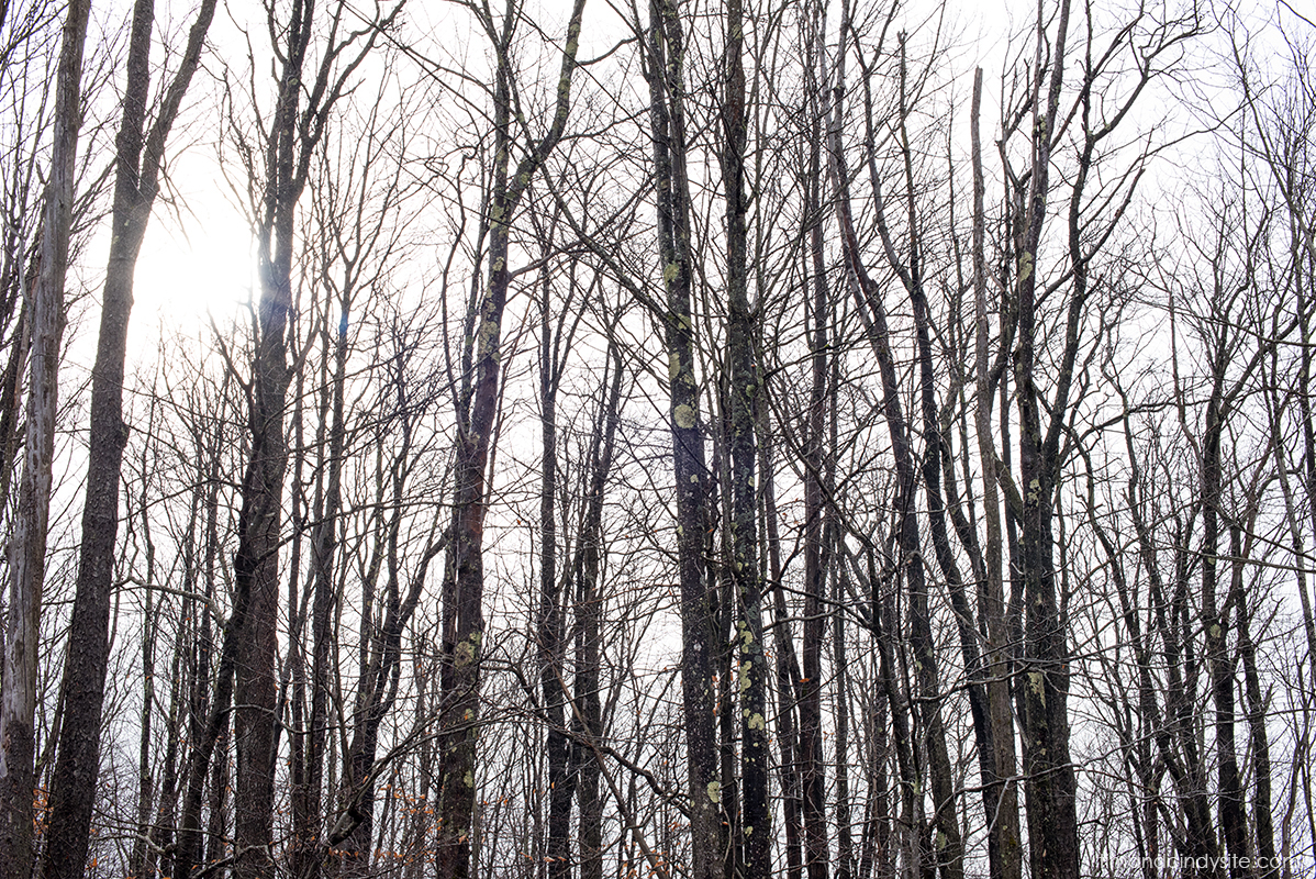 canaan valley