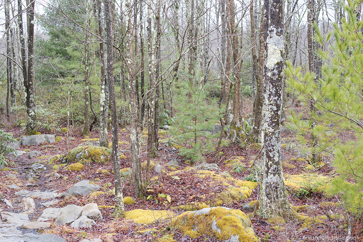 canaan valley