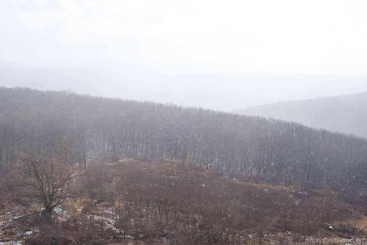 grant county