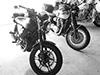 guzzis and triumph
