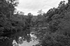 sandy bottom creek