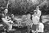 danny, ansil, gus, ellie, gilbert