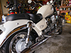 guzzi