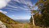 skyline drive
