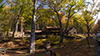 watoga state park
