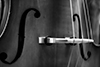 double bass