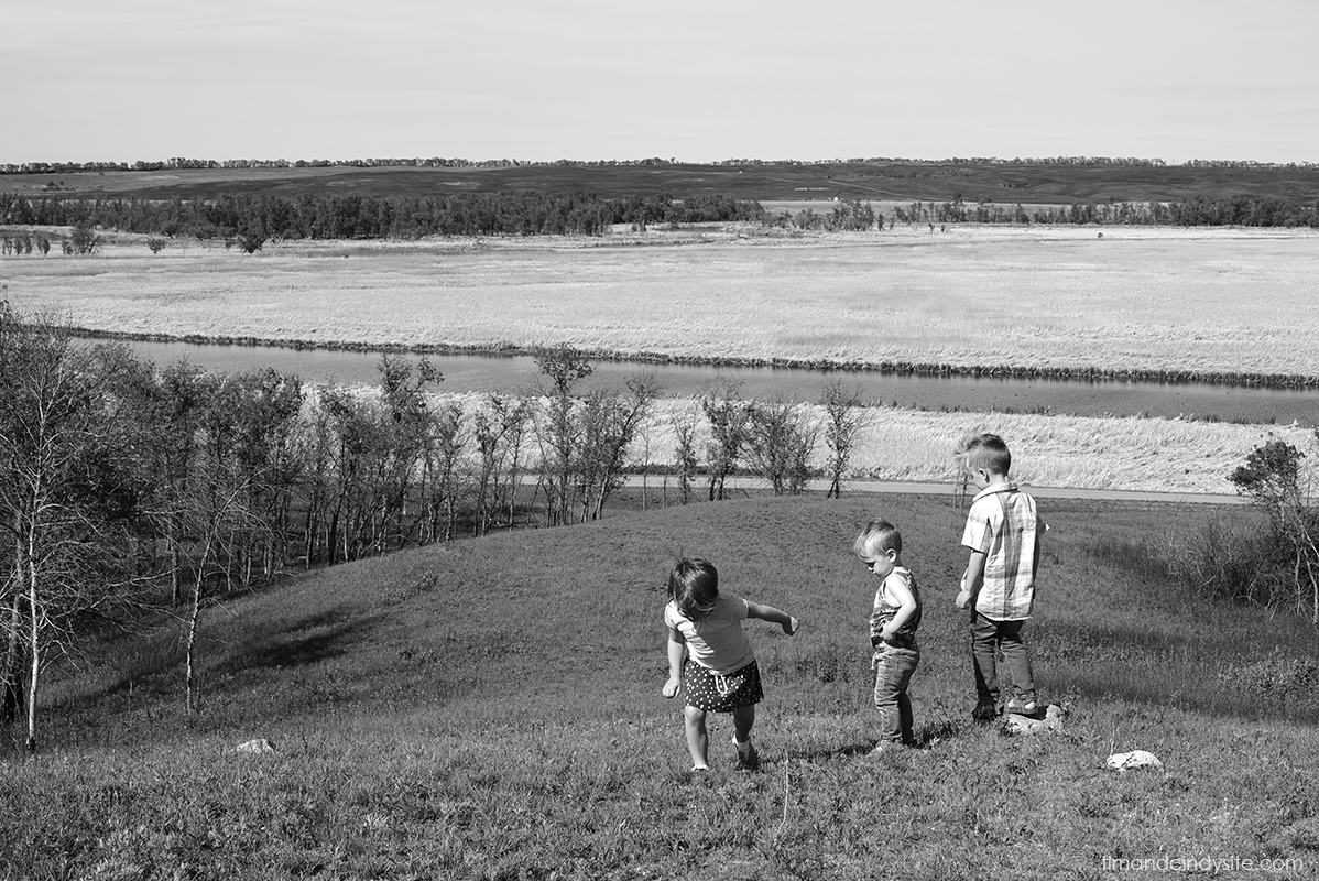 gus, ellie, gilbert