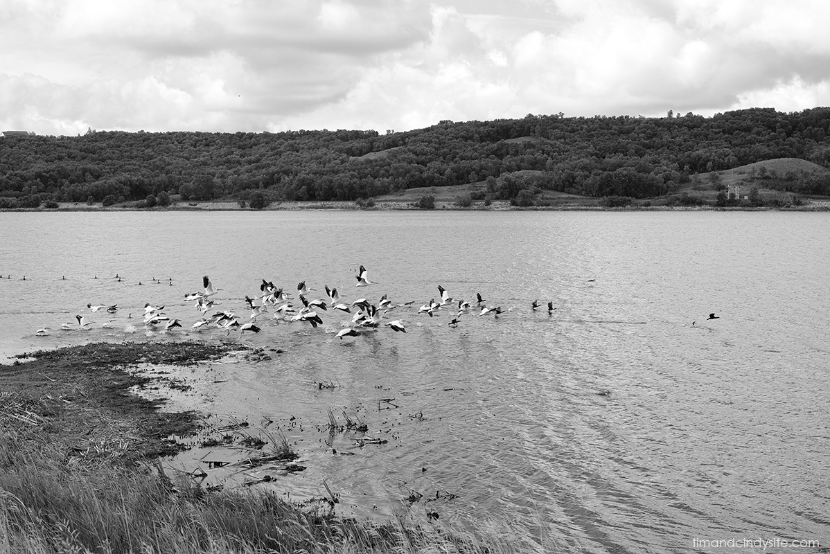 des lacs