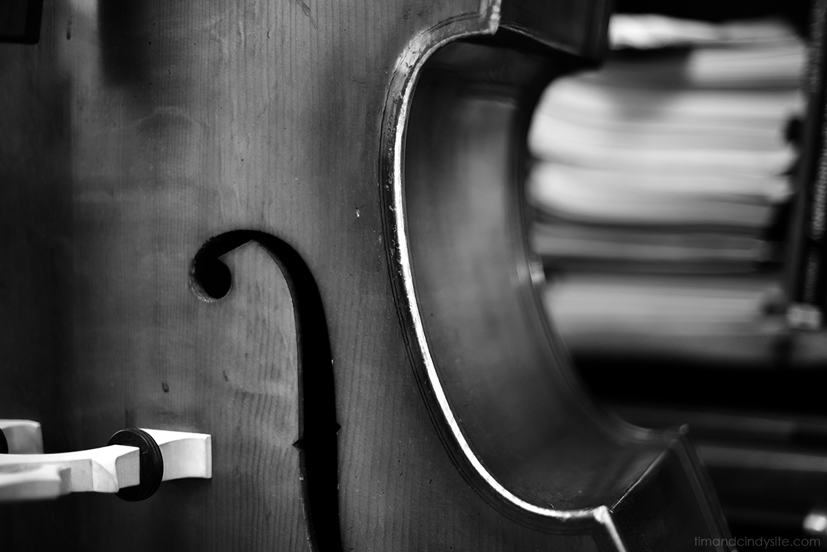 double bass