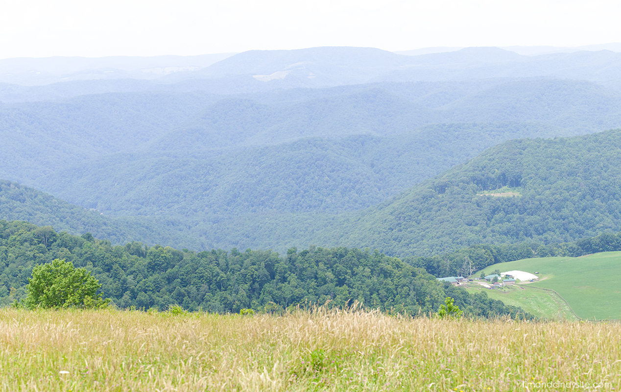 tucker county
