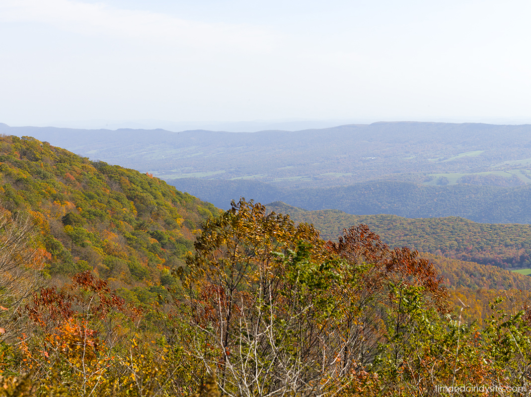spruce knob