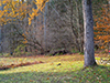 turkey camp