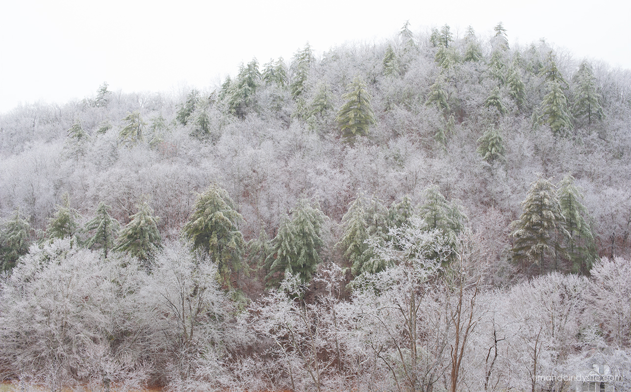 winter